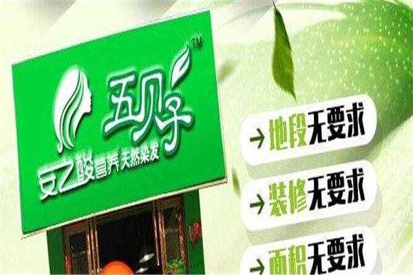 植物染发加盟店