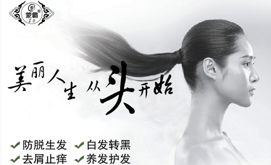 蒙霸养发馆项目