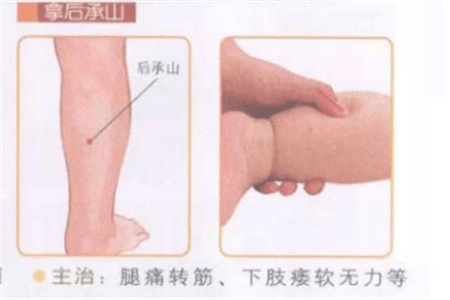 兰枢苑小儿推拿加盟