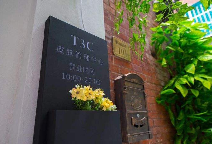 T3C皮肤管理