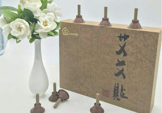 单桂敏艾灸养生