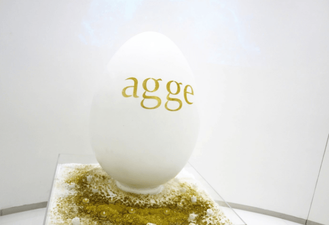 agge蛋白皮肤管理