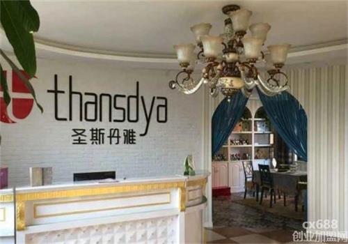 圣斯丹雅护肤品