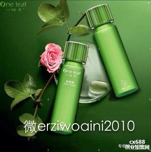 中国化妆品十大名牌排名,中国十大化妆品品牌排行榜