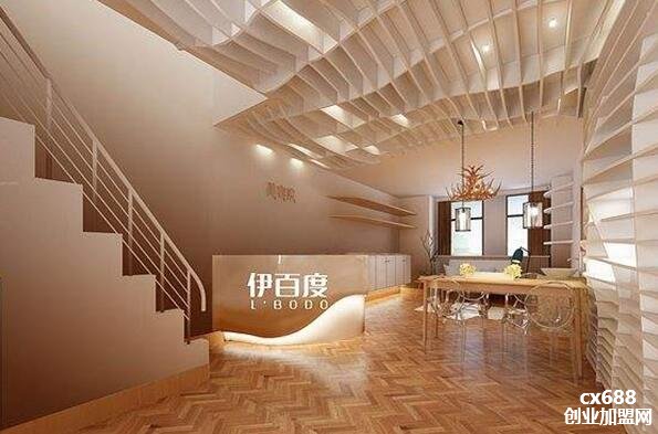 伊百度皮肤管理